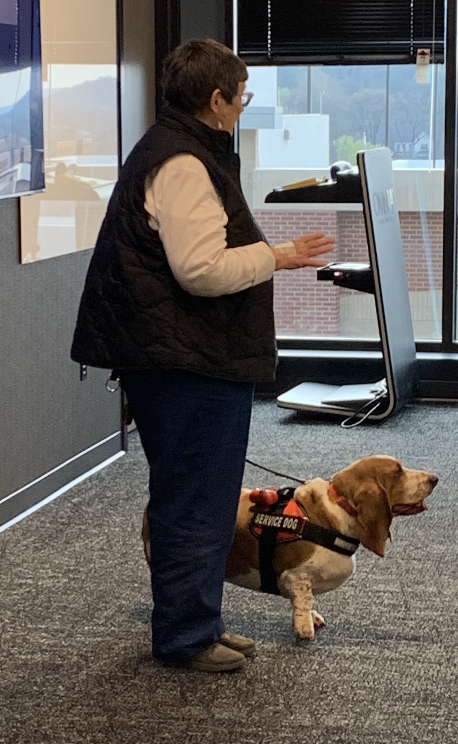 Working Dogs for Vets