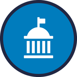 Government Icon